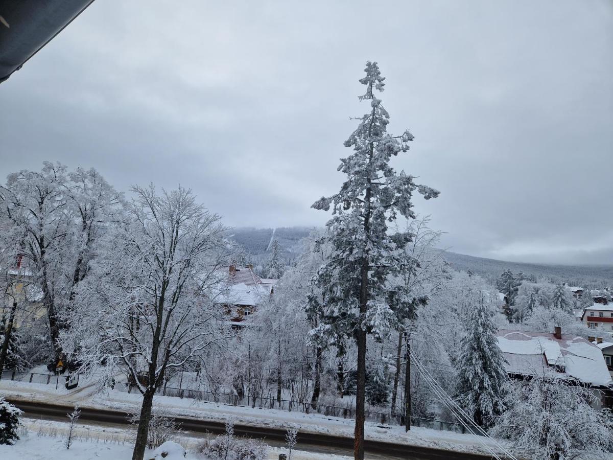 Apartament Gorska Panorama شكلارسكا بوريبا المظهر الخارجي الصورة