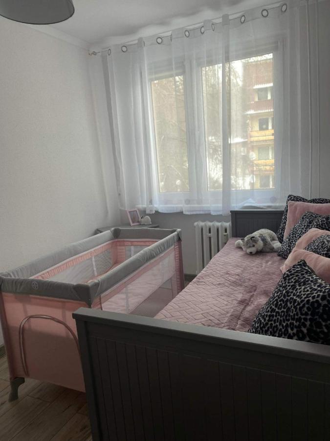 Apartament Gorska Panorama شكلارسكا بوريبا المظهر الخارجي الصورة