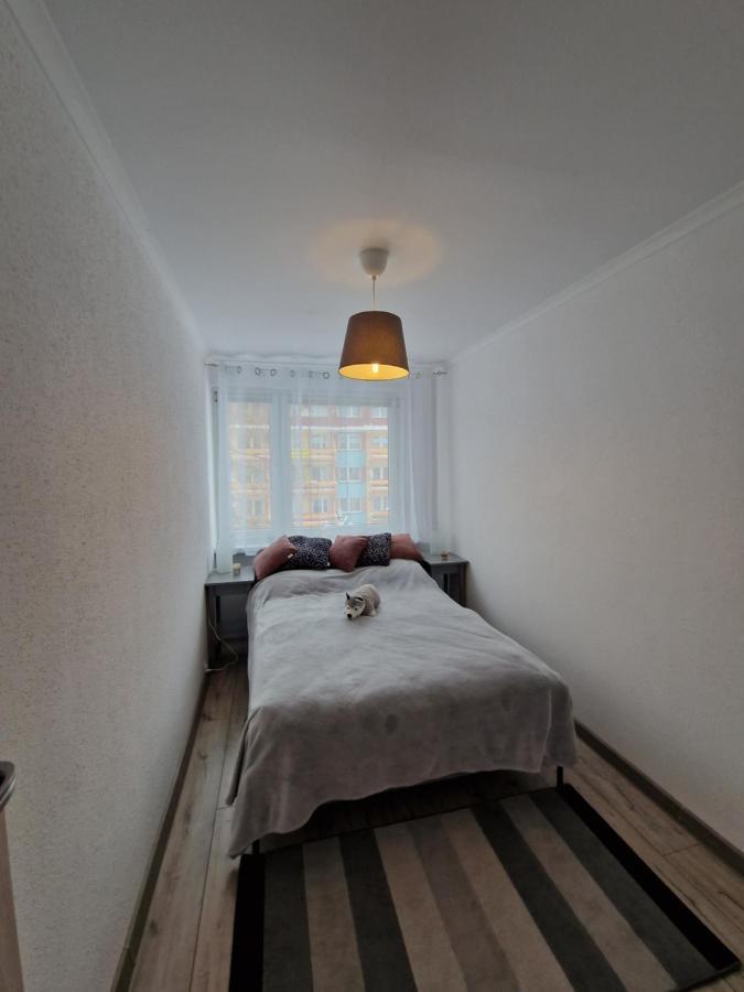Apartament Gorska Panorama شكلارسكا بوريبا المظهر الخارجي الصورة