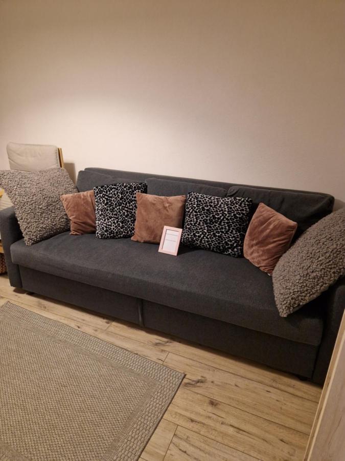Apartament Gorska Panorama شكلارسكا بوريبا المظهر الخارجي الصورة
